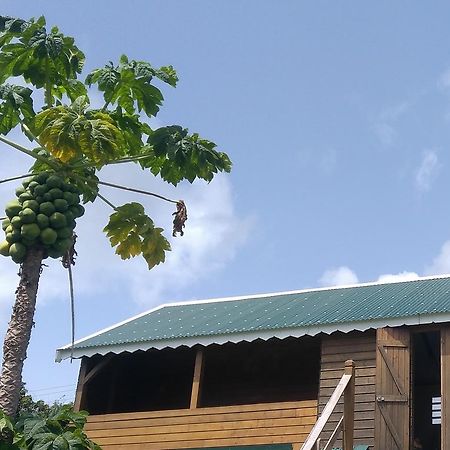 Hotel Les Alizes Du Nord Anse-Bertrand Exterior foto